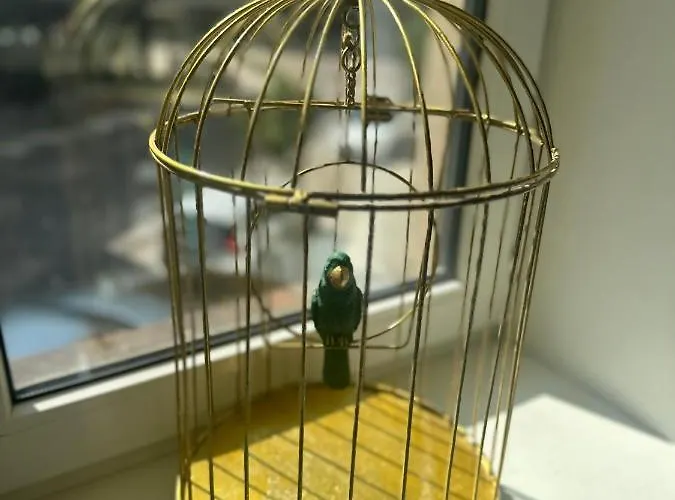 Gertrude's Heart Dzīvoklis